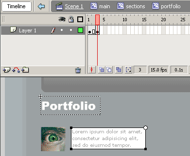 http://www.flash-game-design.com/assets/Basic-flash-site/42.gif