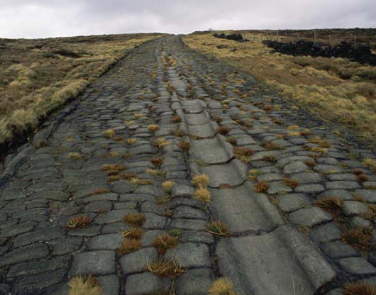 An Old Roman Road in Britain